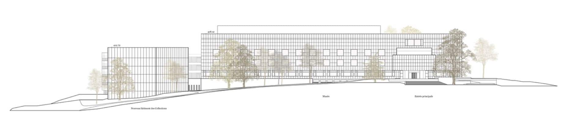 agence-immobiliere-geneve-museum-histoire-naturelle-dessin4