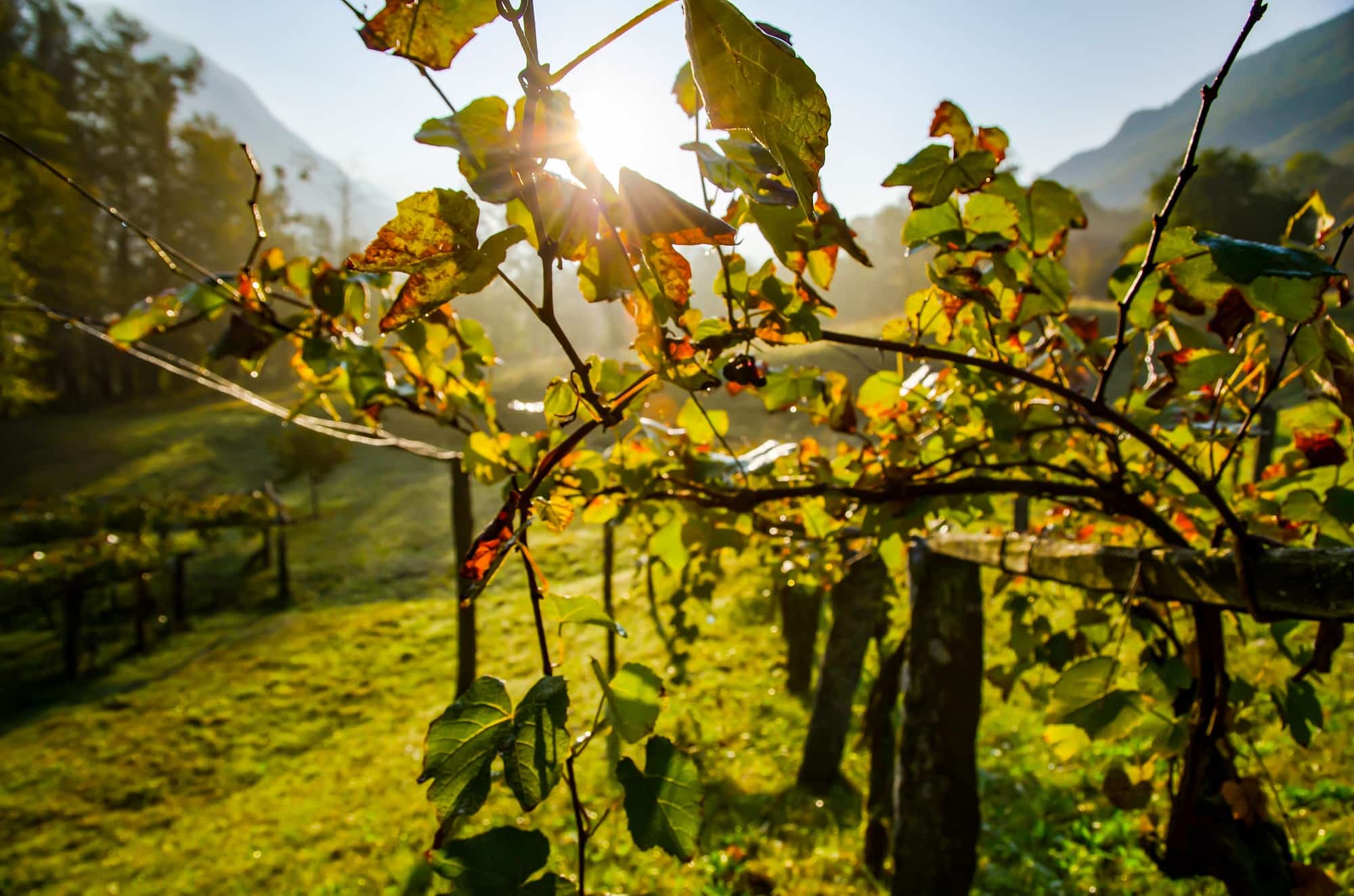 Coopératives-habitation-geneve-marche-a-suivre-10