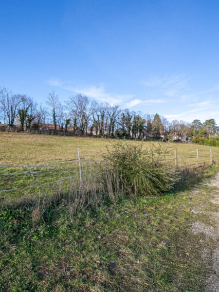 Photo 7 of the property TVECHI2