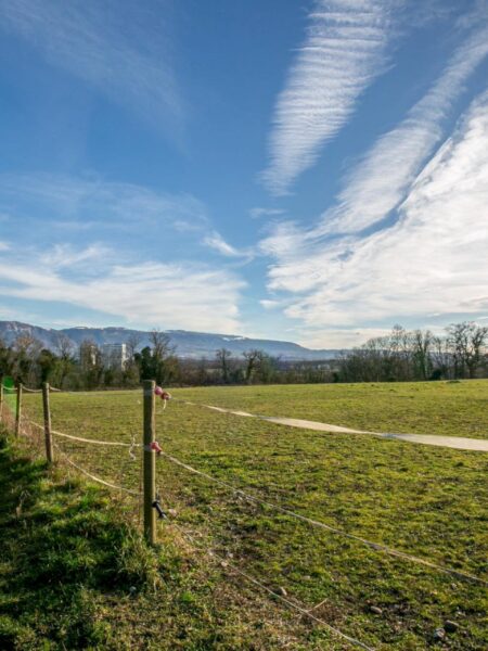 Photo 8 of the property TVECHI2