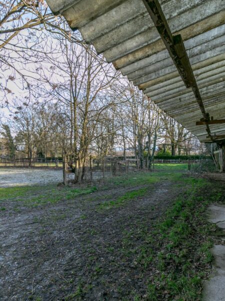 Photo 6 of the property TVECHI2