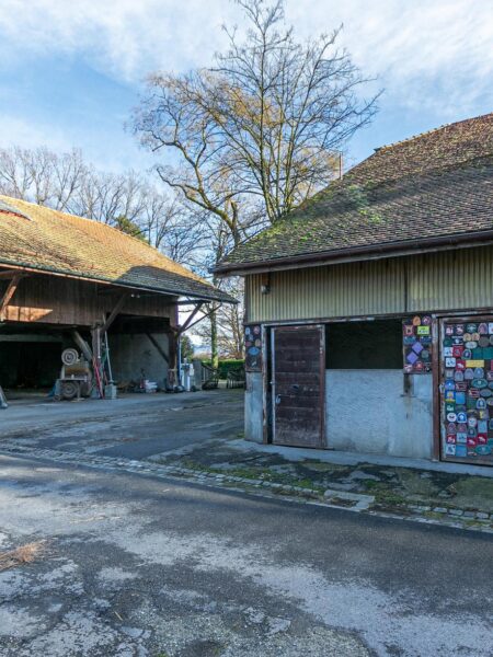 Photo 4 of the property TVECHI2
