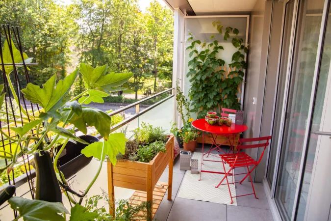 Article_potager_MoserVernetetCie_Schilliger_5