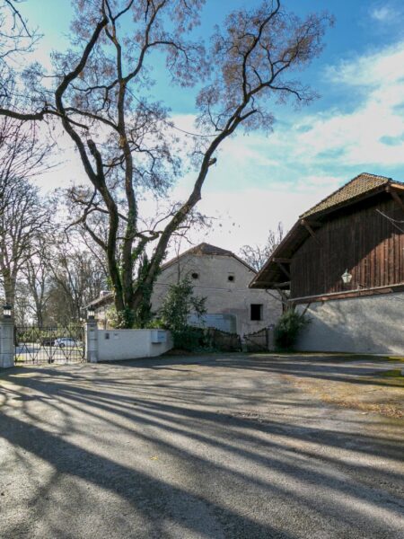 Photo 2 of the property TVECHI