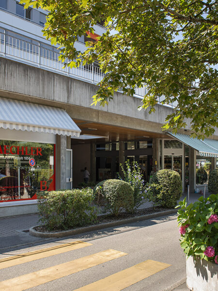 Photo 3 de l'annonce 490010-0253