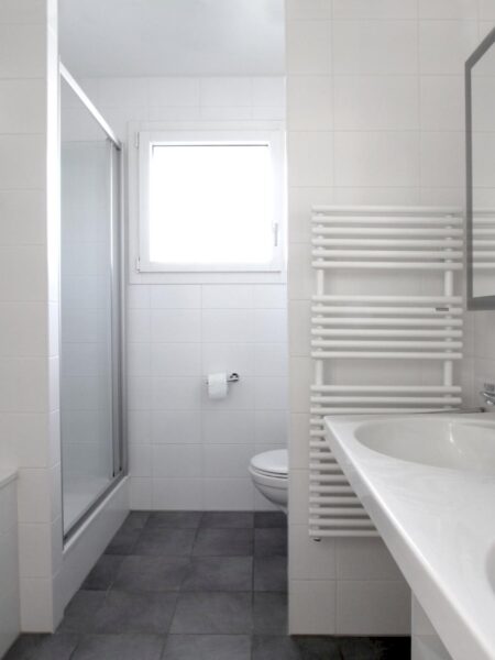 Photo 7 de l'annonce 1168.400010