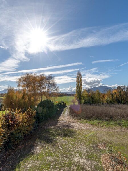 Photo 5 of the property Lullier_64