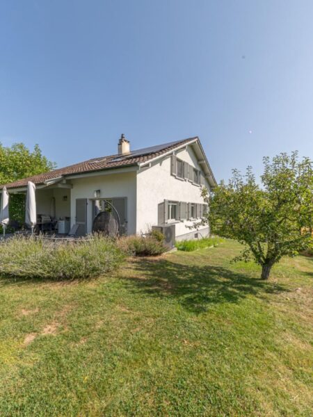 Photo 1 de l'annonce Signal 32