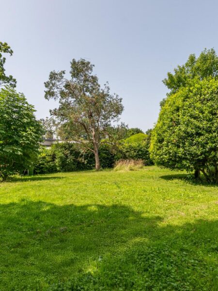 Photo 2 of the property MVAS