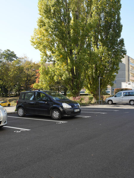 Photo 5 de l'annonce 100340-0613