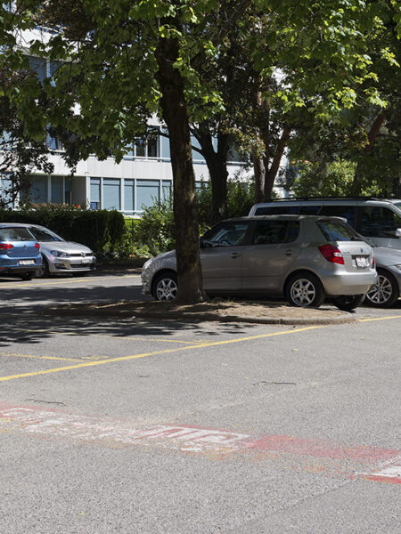 Photo 4 de l'annonce 440030-2494