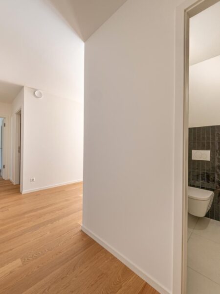 Photo 8 of the property Lullier_64