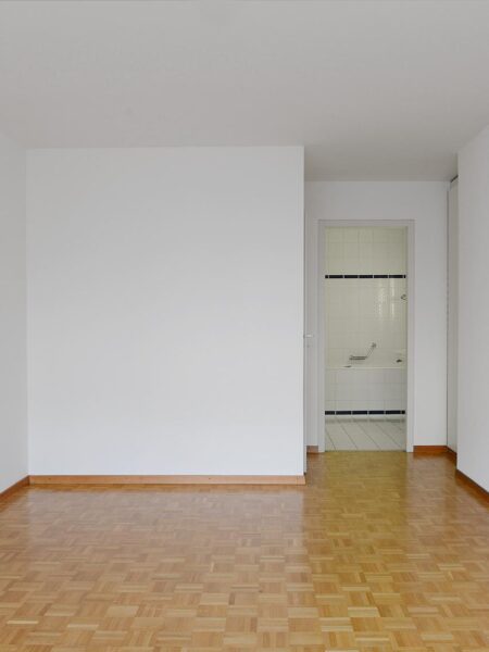 Photo 3 de l'annonce 1309.420010