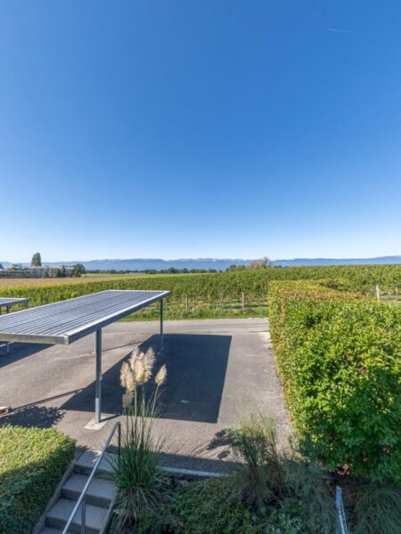 Photo 1 de l'annonce 1190.400040