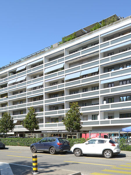 Photo 2 de l'annonce 310090-0042