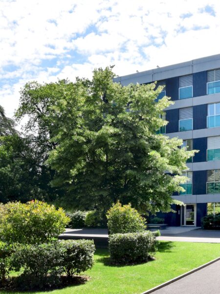 Photo 1 de l'annonce 310640-2716