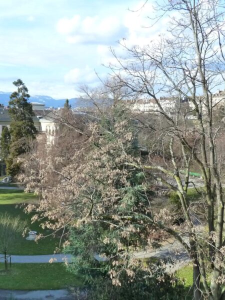 Photo 12 of the property 0082.410000