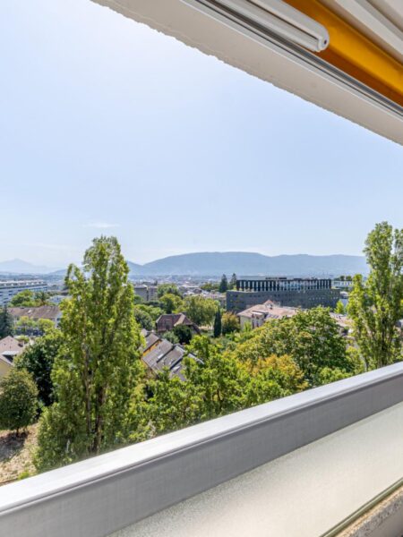 Photo 3 de l'annonce APST02