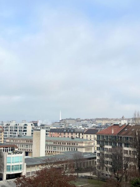 Photo 12 of the property 0520.460010