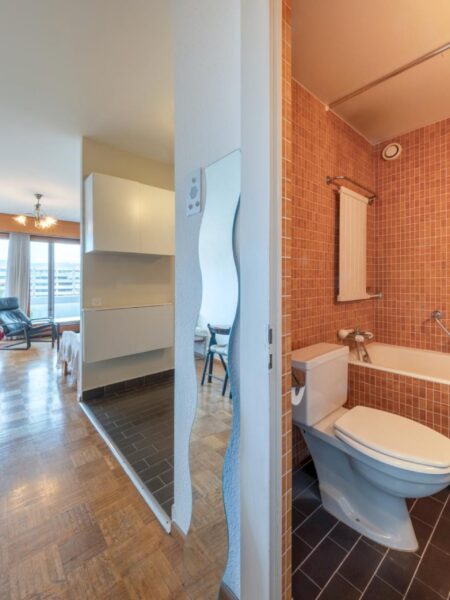 Photo 4 de l'annonce APST04