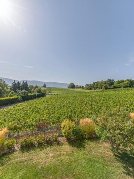 Photo 1 of the property Signal 32