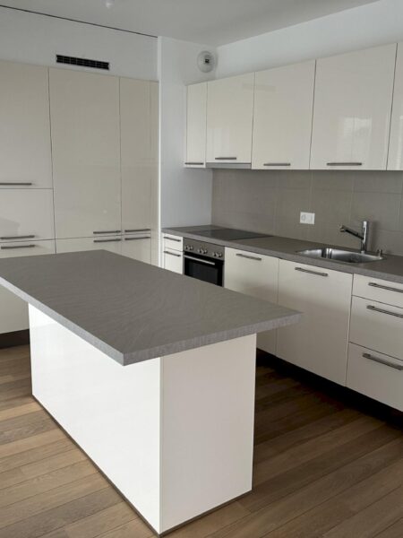 Photo 3 de l'annonce 7226.420010