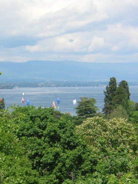 Photo 5 of the property 1029.460010