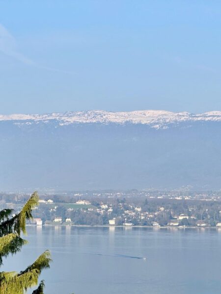 Photo 1 de l'annonce MCBLR