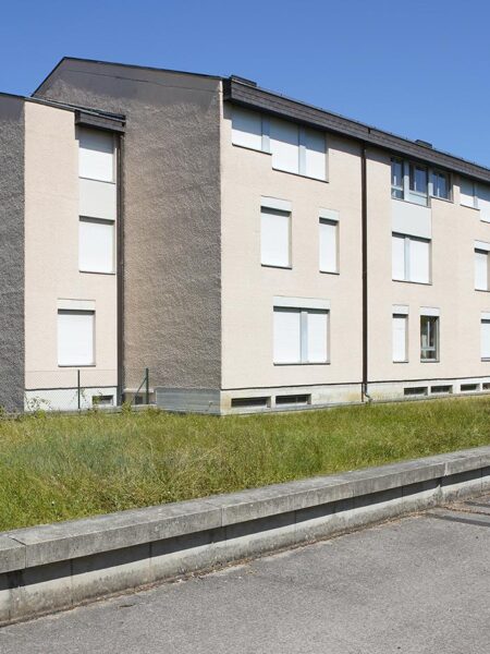 Photo 3 de l'annonce IPPM