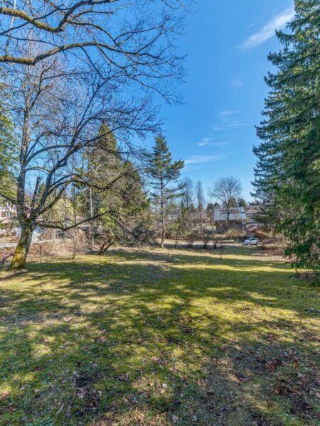 Photo 1 de l'annonce TSCA