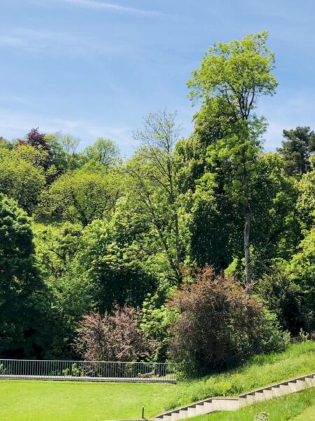 Photo 2 of the property 1367.440010