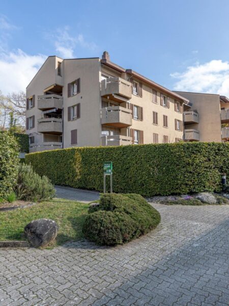 Photo 1 de l'annonce Planta 33