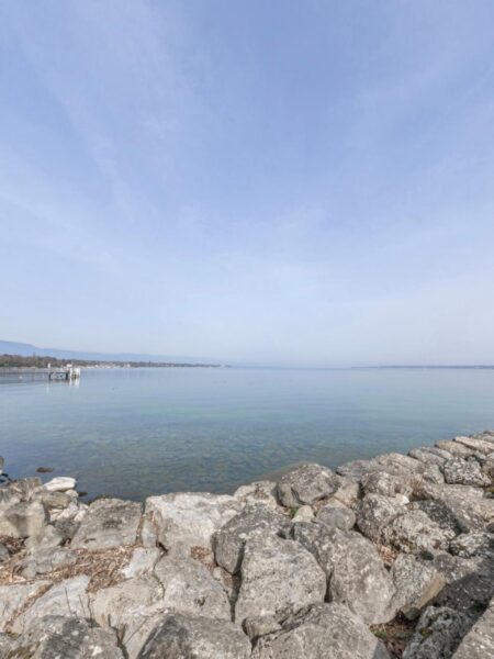 Photo 5 de l'annonce AVSU