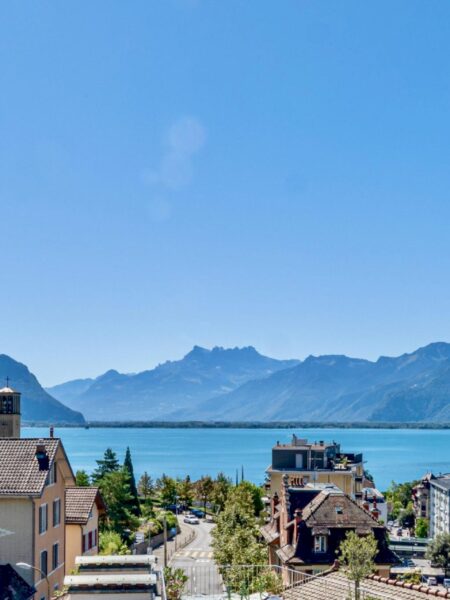 Photo 1 de l'annonce AMSP