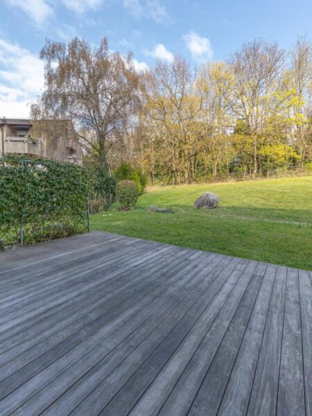 Photo 3 de l'annonce Planta 33