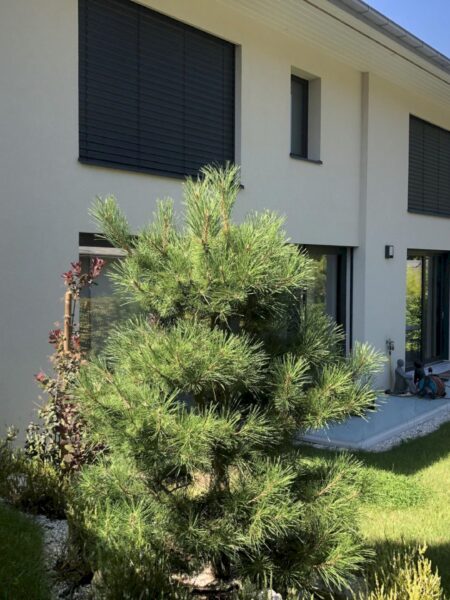 Photo 1 of the property 1380.400010