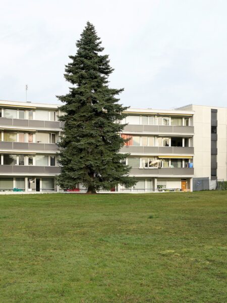 Photo 1 de l'annonce 410020-2674